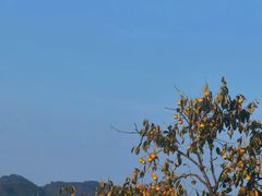 -四明山国家森林公园