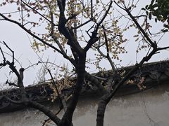 -拙政园