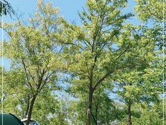 -天津东丽湖风景区