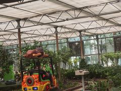 -南宫五洲植物乐园