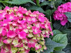 -闽江夜游台江旅游码头