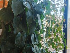 -盐帮食坊•小河帮川菜(四川师大店)