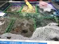 -盒马鲜生(大成店)