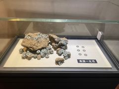 -沈阳金融博物馆