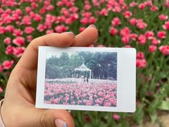-石家庄市植物园