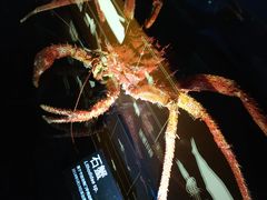 -同济大学四平路校区深海探索馆