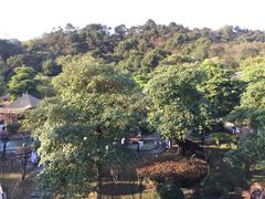 -森波拉火山温泉