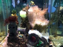 -太平洋海底世界