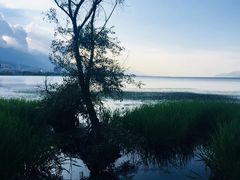 -大理洱海