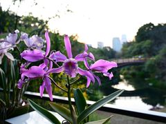 -云溪植物园
