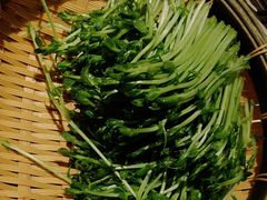 活体豌豆苗-捞王锅物料理(上海世茂广场店)