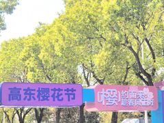 -高东镇樱花园
