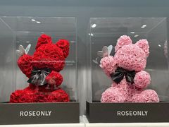 -ROSEONLY诺誓(广州K11店)