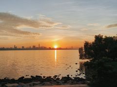 -深圳人才公园