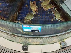 -天津包子铺·海鲜家常菜(北戴河店)