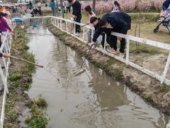 -嘉北郊野公园