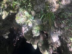 -怀托摩萤火虫洞