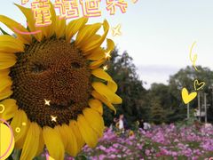-北京奥林匹克公园