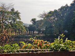 -大夫山顺驰自助烧烤场