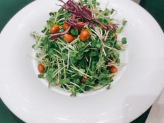 凉拌萝卜苗-老东吴食府(雅都店)