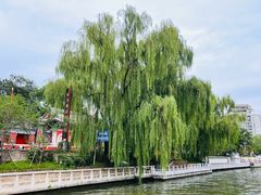 -南长河公园
