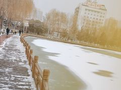 -金城公园