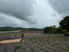 -济州森林小火车生态公园