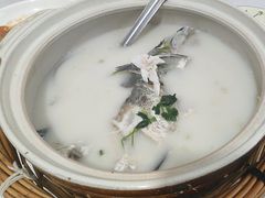 -天乐农家鱼头王(天目湖店)