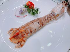 -蒲叙(凯天国际店)