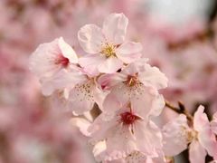 -柯达快照(海运仓胡同店)