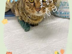-宠颐生动物医院·小陆分院
