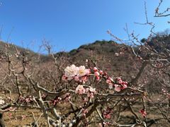 -崔记生活·铁锅炖鱼粘卷子(总店)