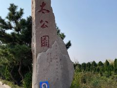 -日照海滨国家森林公园