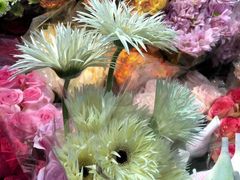 -三旗百汇商品城