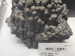 -湖南省地质博物馆