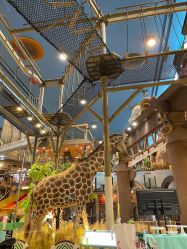 -卡通尼·Safari非洲探索乐园·生日会(金桥国际商业广场店)