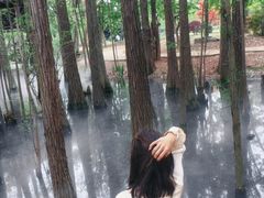 -东湖落雁景区