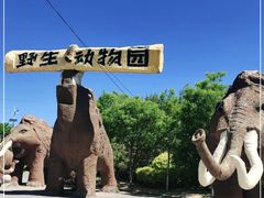 -大青山野生动物园