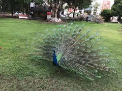 -西昌邛海宾馆