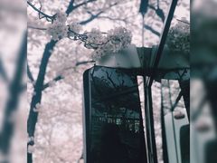 -上海南浦大桥长途旅游客运站