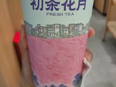 -初茶花月·重庆特产(大融城店)