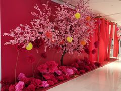 -凤凰湘语·湘粤鲜融(浦东旗舰店)