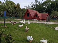 -同济大学(嘉定校区)