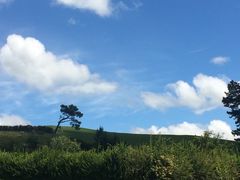 -霍比特人村
