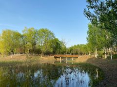 -东郊湿地公园