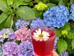 -concerto协奏曲咖啡店