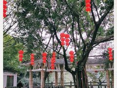 -云溪植物园