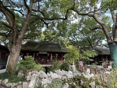 -上海醉白池公园