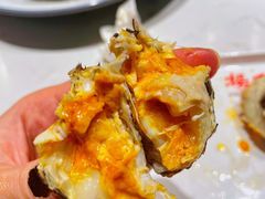 -杨氏青龙虾·羊蝎子(托乐嘉店)