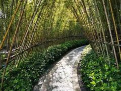 -美的鹭湖探索王国